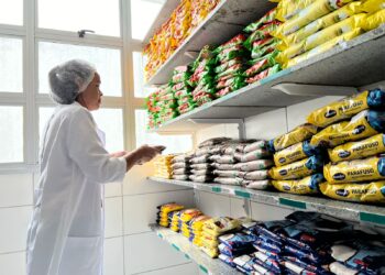 Desempenho na gestão da oferta da alimentação escolar em Camaçari é destacado pelo Cecane-Ufba