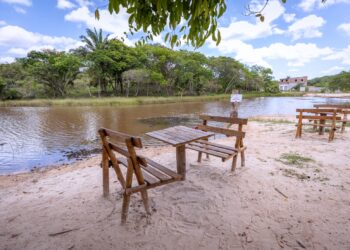 Reflora Camaçari entrega à comunidade o Parque Ambiental Lagoa Pinhão Manso