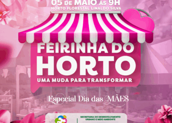 Feirinha “Uma muda para transformar” acontece domingo (5)