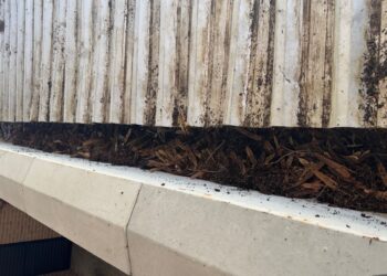 Equipes trabalham na desobstrução de calhas do Mercado de Barra do Pojuca