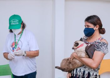 Dia D de vacinação antirrábica animal acontece na sede do município neste sábado (3)