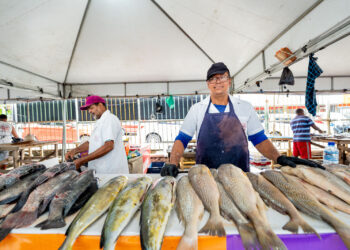Feira do Peixe enriquece mesa do camaçariense na Semana Santa