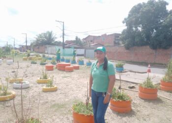 Serviço de roçagem é realizado no bairro Verdes Horizontes