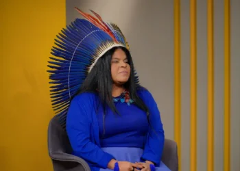 Sonia Guajajara continua internada em estado estável em São Paulo