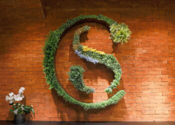 Salvador Shopping receberá a primeira Super Store da Cacau Show na Bahia