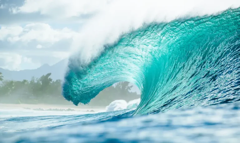 Surf