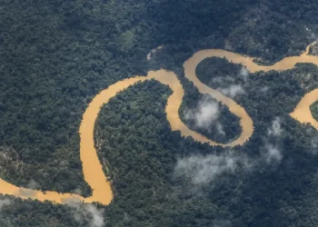 Forças Armadas combatem garimpo na Terra Indígena Yanomami