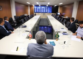 Estado inicia cadastro para distribuição de 250 mil sacas de milho para alimentação animal nos municípios afetados pela seca