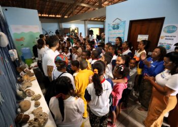 Governo da Bahia inaugura primeira área de restauração de corais marinhos na Baía de Todos-os-Santos