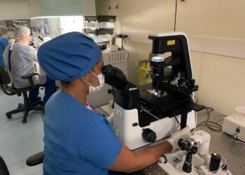 Fertilização In Vitro e preservação da fertilidade: taxas de sucesso em transferência gira em torno de 60%, mesmo para embriões congelados