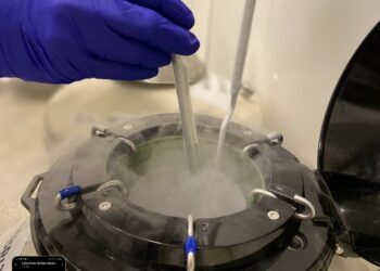 Especialistas destacam importância do aconselhamento reprodutivo para mulheres que atingiram os 30 anos e pretendem ter filhos no futuro