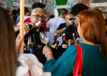 Vinho na Vila: Festival de vinhos brasileiros une degustações, música e programação infantil
