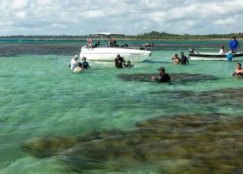 Turismo na Bahia cresce acima da média nacional; Agência Bahia Terra mostra principais destinosConheça opções de passeios especiais e locais mais visitados por baianos e turistas