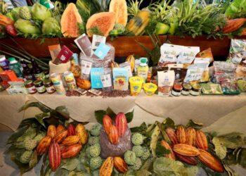 Projeto baiano é eleito o melhor do mundo pelo Fundo Internacional de Desenvolvimento Agrícola