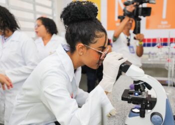 SEC mobiliza escolas para as olimpíadas em diferentes áreas do conhecimento