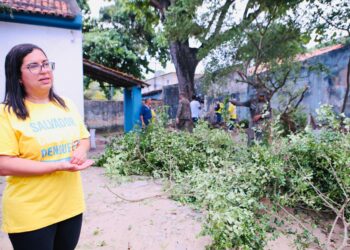 Salvador Contra a Dengue: confira a programação do CCZ para o combate à Dengue nesta semana