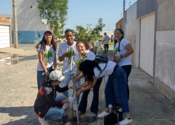 Projeto estudantil contribui para ampliar arborização em Bom Jesus da Lapa