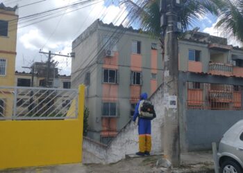 Secretaria da Saúde de Salvador fecha o cerco contra o Aedes aegypti em diversos bairros neste final de semana
