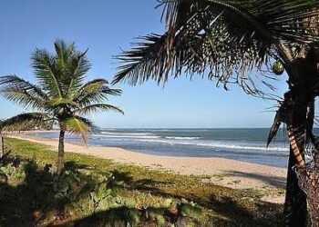 Iniciativa ambiental na praia de Guarajuba acontece neste sábado