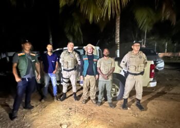 Cetas do Inema resgata onça-parda na cidade de Anagé, região sudoeste da Bahia