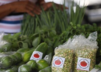 SPM prorroga prazo de inscrição para edital de R$ 3 milhões destinado às mulheres do campo