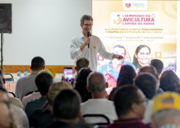 SDR cria grupo para coordenar projeto sobre avicultura caipira e produção de ovos na Bahia