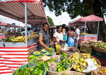 Produtores das feiras da agricultura familiar do município aprovam novas barracas