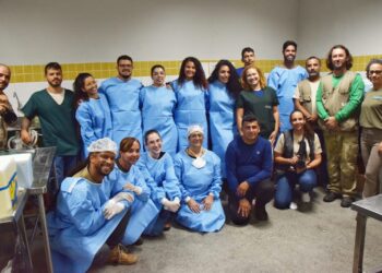 Bugios-pretos iniciam retorno gradual à natureza em área protegida com apoio do Inema