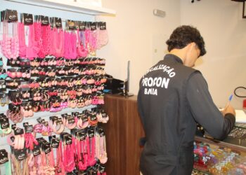 Dia das Mães: Procon-Ba alerta sobre golpes e dá dicas para compras online seguras