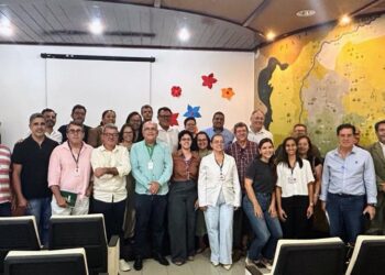 Setor avícola da Bahia discute estratégias em relação à gripe aviária H5N1