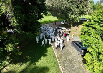 Adab prepara equipes para atuar em emergências fitossanitárias