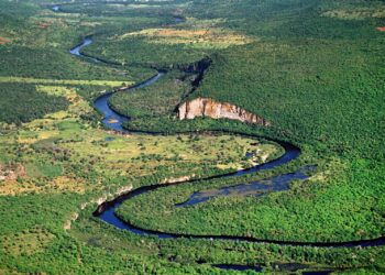 Bahia institui Fundo de Compensação Ambiental para fortalecer Unidades de Conservação
