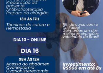 Anclivepa Bahia oferece curso prático de castração para veterinários e estudantes
