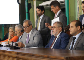 Câmara Aprova projeto que estabelece a gratuidade na distribuição de sacolas no comércio