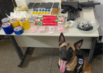 Submetralhadora e drogas são encontradas com líder de facção