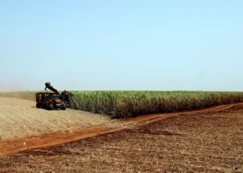 Governo libera R$ 210 milhões para o seguro rural no Rio Grande do Sul
