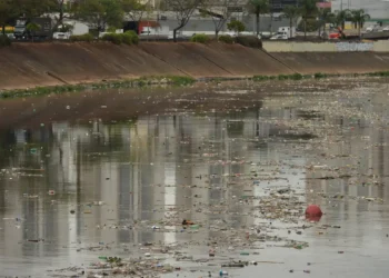 Qualidade da água na Mata Atlântica melhora, mas alerta persiste