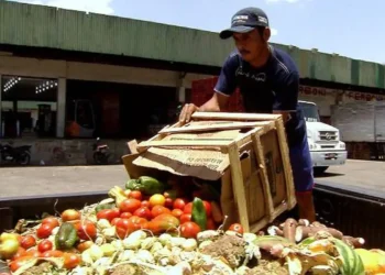 Pesquisa traz dicas sobre como reduzir desperdício de alimentos