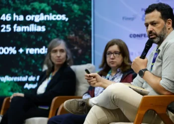 Produto da Amazônia precisa agregar valor na região, diz especialista