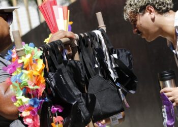 Filhos de ambulantes acolhidos por projeto social desfilam na Sapucaí