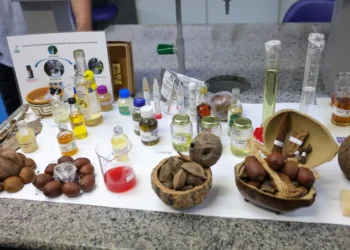 Centro desenvolve modelo de negócios com base na biodiversidade