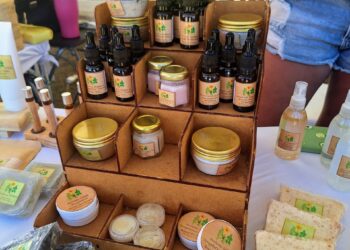 Festival da Beleza reúne marcas veganas e cuidados sustentáveis