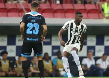 Botafogo empata com Grêmio e vê vantagem diminuir no Brasileiro