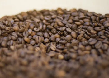 Conheça os elementos que tornam o café torrado impróprio para consumo