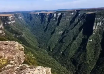 Planejamento da segurança em parques reduz riscos, mas não os elimina