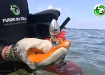 Brinquedo erótico é encontrado em limpeza de Praia do Farol da Barra