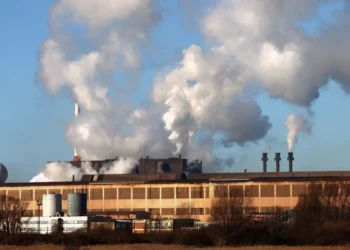 Mercado voluntário de carbono no Brasil recua em 2023