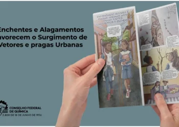 Cartilha mostra como evitar vetores e pragas após alagamentos