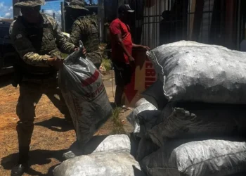 PM apreende 3 toneladas de carvão que seriam comercializadas ilegalmente na região metropolitana de Salvador