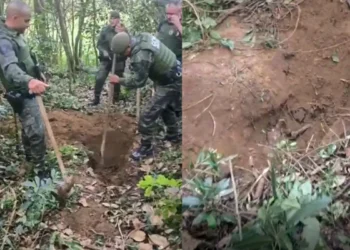 Cemitério clandestino é encontrado em parque na região sul paulistana